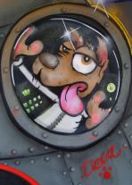 dogs in space