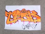 tesk