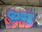 Rapid