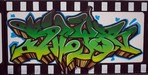 SHYER