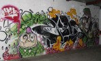 Ecas x Juns.
